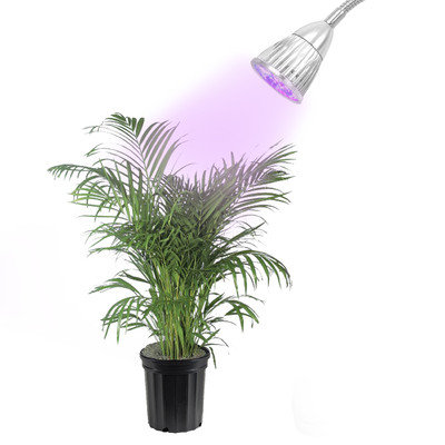 LED Concepts Grow Light, 5W LED, For Hydroponic Garden Greenhouse