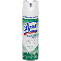 Lysol® Adirondack Cool Air Lightly Scented Disinfectant Spray 19 oz. Can