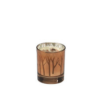 Alcott Hill Woodland Maple Butter Scented Candle
