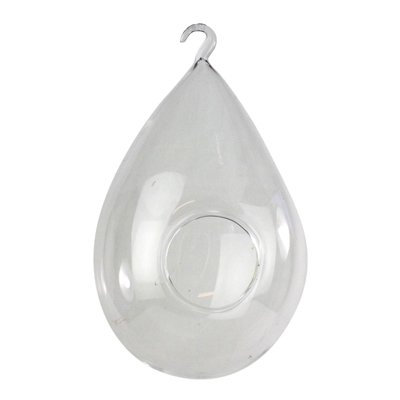 Ivy Bronx Berlanga Bubble Glass Hanging Planter Size: 8.5