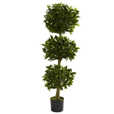 Darby Home Co Triple Bay Leaf Round Topiary in Pot