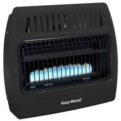 World Marketing Kozy World 30,000 BTU Garage Dual Fuel Wall Heater