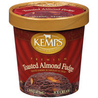Kemps® Toasted Almond Fudge Premium Ice Cream 1 pt. Tub