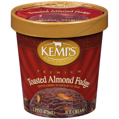 Kemps® Toasted Almond Fudge Premium Ice Cream 1 pt. Tub