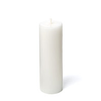 Charlton Home Citronella Pillar Candle Color: White, Size: 6