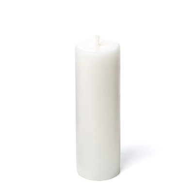 Charlton Home Citronella Pillar Candle Color: White, Size: 6