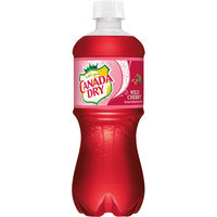 Canada Dry Wild Cherry Soda