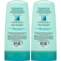 L'Oreal Paris Hair Expert Extraordinary Clay Rebalancing Conditioner 2-25.4 fl. oz. Bottles