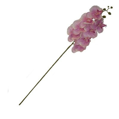 Bloomsbury Market Small Artificial Silk Orchid Stem