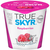 Dannon of the World™ True Skyr™ Raspberries Yogurt 5.3 oz. Single Serve