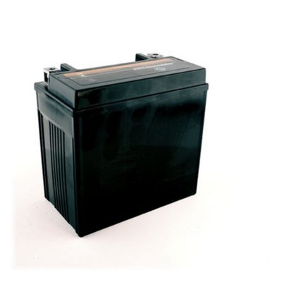 YTX14-BS Motorcycle Battery for Honda 750cc VT750CD CD2 Shadow Deluxe 2001