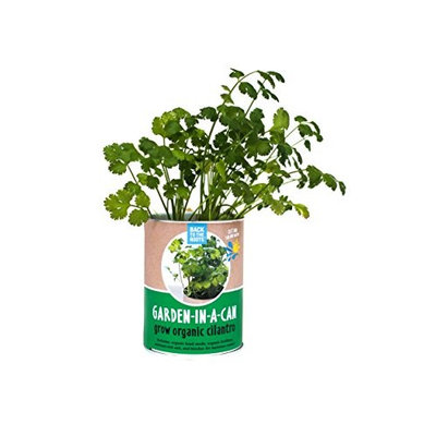 Back to the Roots Garden in A Can, Organic Cilantro