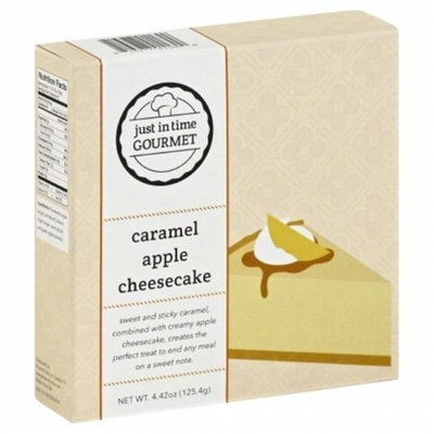JUST IN TIME GOURMET 268561 4.42 oz. Caramel Apple Cheesecake Mix