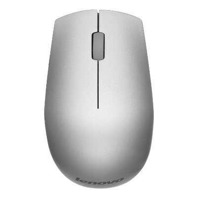 Lenovo 500 Wireless Mouse-NA(Silver)