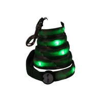 Light Up LED Dog Leash - Patented Light Up Glowing Leash for Puppies and Dogs of all Kinds for Training and Outdoor Fun - by Dog E Glow (6 Feet)