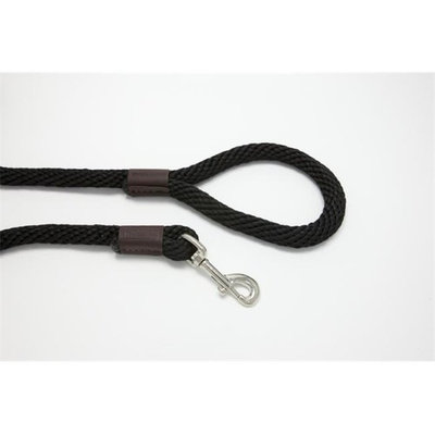 Purple Pebble LZ584BK 4 ft. x 0. 62 inch Leedz Super Thick Black Leash