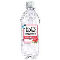 Hal's New York Seltzer Water 20 Oz (12 Pack) (Watermelon)