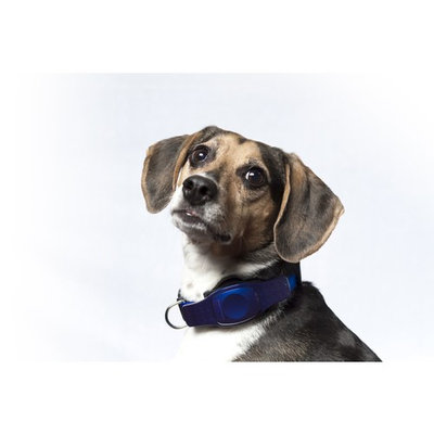 Waterproof Tracking Collars for Hunting Dogs Realtime GPS Pet Tracker