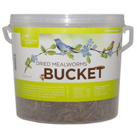 Pacific Bird & Supply Co Inc MEALWORM DRIED 28OZ
