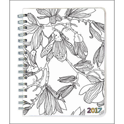 Color Me Plans 12 Month 2017 Softcover Engagement Calendar