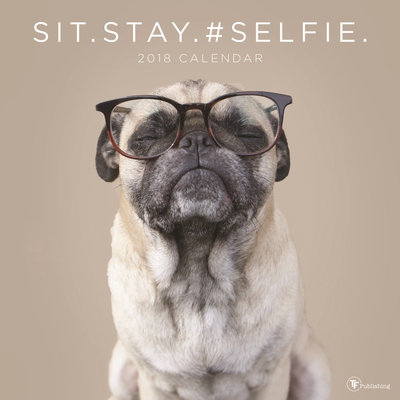Sit Stay Selfie Wall Calendar by TF Publishing