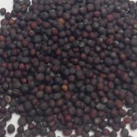 The Dirty Gardener Heirloom Florida Broadleaf Mustard Seeds, 1 Pound