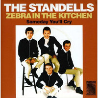 Fye Zebra in the Kitchen by The Standells