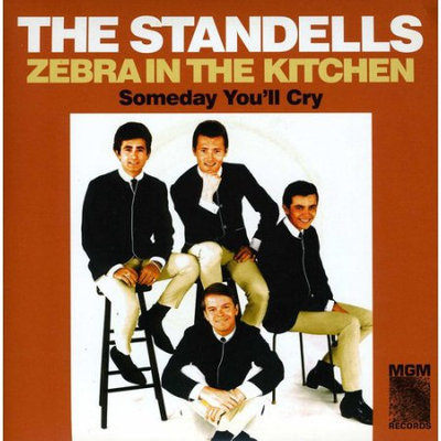 Fye Zebra in the Kitchen by The Standells