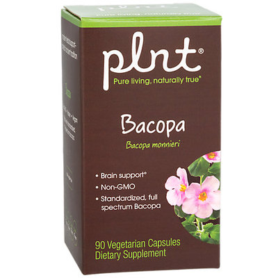 Plnt Bacopa