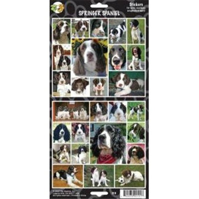 Clearance Item 470-00101 Pet Qwerks S19 English Springer Spaniel Dog Sticker