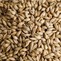 Gambrinus Honey Malt Brewing Malt Whole Grain 1lb Bag