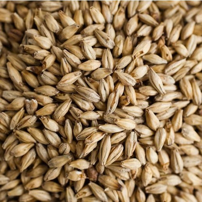 Gambrinus Honey Malt Brewing Malt Whole Grain 1lb Bag