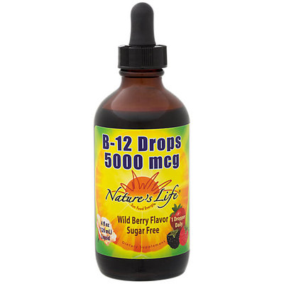 B12 Wild Berry Nature's Life 4 fl oz Liquid