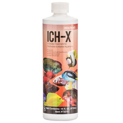 Topdawg Pet Supplies Ich X - Ich Treatment With More 16oz