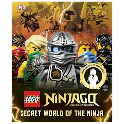Lego Ninjago Art by Beth Landis Hester
