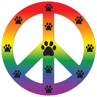 Imagine This Peace Car Magnet Sign, Rainbow, 41/2-Inch by 4-1/2-Inch