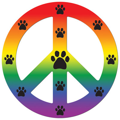 Imagine This Peace Car Magnet Sign, Rainbow, 41/2-Inch by 4-1/2-Inch
