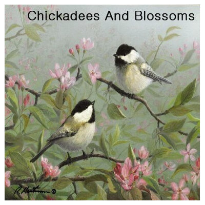 Hi-Look Inc. Hautman Brothers Chickadee single design