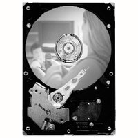 Seagate SV35.5 ST31000525SV 1TB 3.5 Internal Hard Drive - SATA - 7200rpm - 32MB Buffer - Hot Swappable
