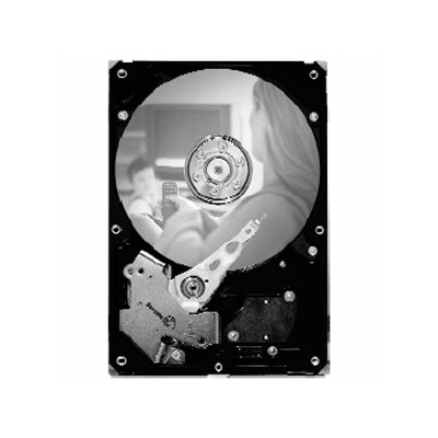 Seagate SV35.5 ST31000525SV 1TB 3.5 Internal Hard Drive - SATA - 7200rpm - 32MB Buffer - Hot Swappable