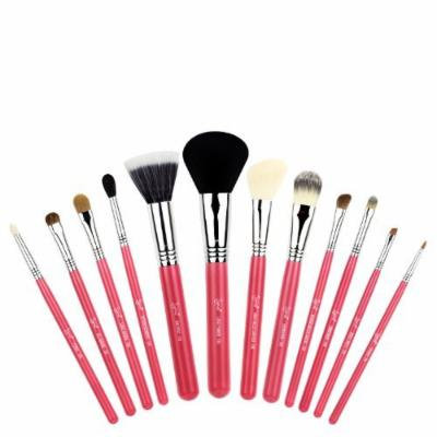 Sigma Beauty Essential Kit Make Me Blush CKC03
