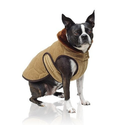 Scooter's Friends Quilted Velvet Dog Coat