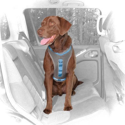 Kurgo Gray & Blue Journey Dog Harness, Large