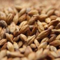 Weyermann CaraMunich I Malt - 1 LB, Uncrushed