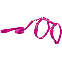 Good2Go Pink Kitten Harness and Lead Set