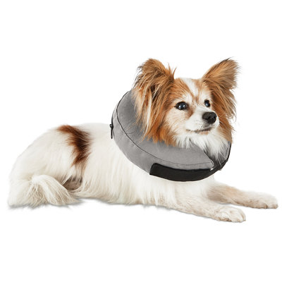 Well & Good Inflatable Collar for Dogs and Cats, X-Small