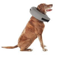Well & Good Inflatable Collar for Dogs and Cats, Medium