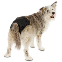 So Phresh Washable Diaper for Dogs, Large