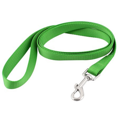 Pet Dog Puppy Swivel Hook Training Walk Lead Nylon Leash Rope 150cm Long Green