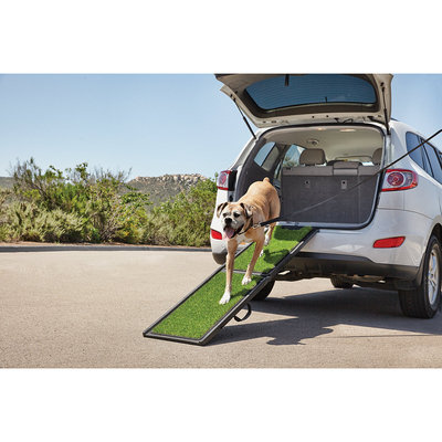 Good2Go Portable Pet Ramp, 6' Length, 200 lb. load bearing